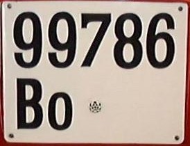 Provisional plate